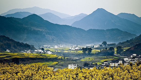 江西日报,聚焦江西发展新篇章