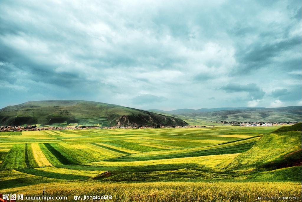 青海，生态宝库中的民族团结典范